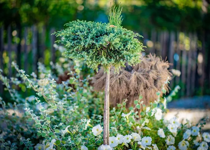 Chalet Goralski - Gorski Hyr *