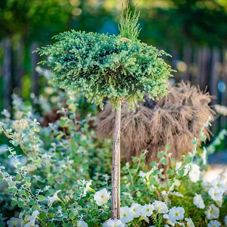 شاليه Goralski - Gorski Hyr *