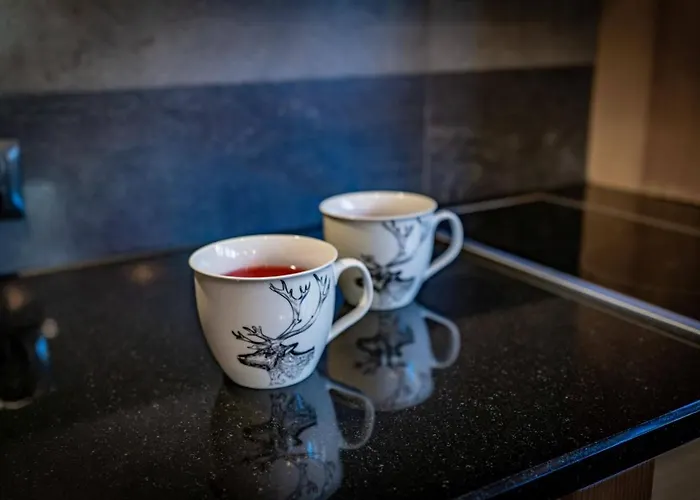 Goralski - Gorski Hyr Chalet *